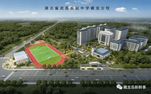 有网友建议将藏龙岛这所正在建设的学校,从私立改成公立办学