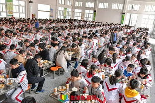 严格把控,加强监督 毛庄中学多举措筑起校园食品安全保护伞