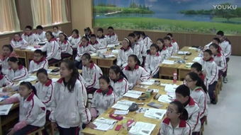 第三节合理膳食与食品安全 初中生物 济南社2011课标版 七年级下册 免费体验