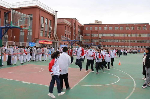 学生风采 心手相连 勇往直前 海淀实验中学心理拓展运动会