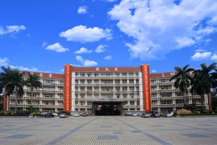 博罗中学今年高一新生报名现场