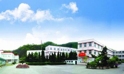 浙江三梅中学