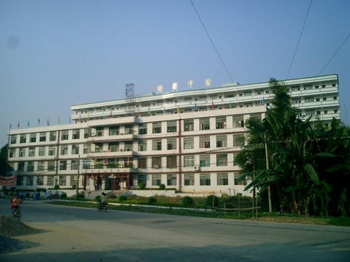 荷花中学 育人之美，恰如花开