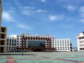 宁夏25位学子圆梦清华，展现多元教育风采