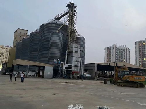 全新中学筹建加速，淮安这个区域迎来发展新契机