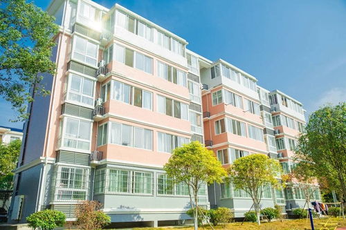 长沙县双江镇双江中学教师公租房项目 筑巢引凤，为乡村教育注入安居力量