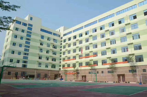 南宁市东盟黄冈中学 立足本土，融合创新，培育新时代英才