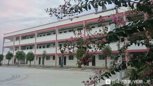 咸宁市第六初级中学 学“法”用“典”，弘扬法治精神