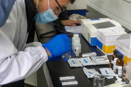 校园温情显实力 从'鱼真好吃'看西农如何实力宠师生