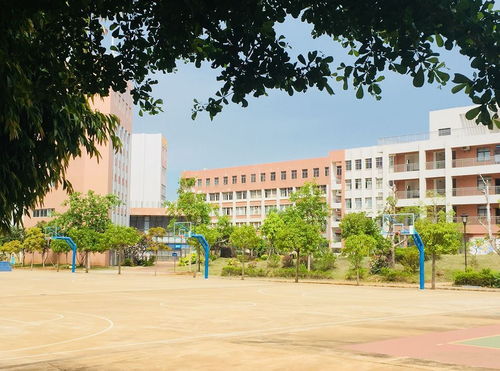 寻找徐闻最美中学，你的母校上榜了吗？