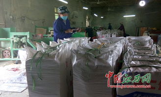南昌县黄马中学旁树木大量死亡 居民疑与无证筷子厂排污有关
